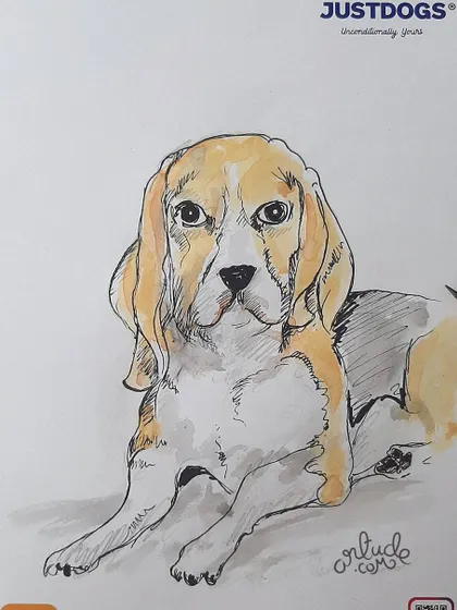 Another sketch of the beagle, showcasing the detailed pencil and watercolor work.