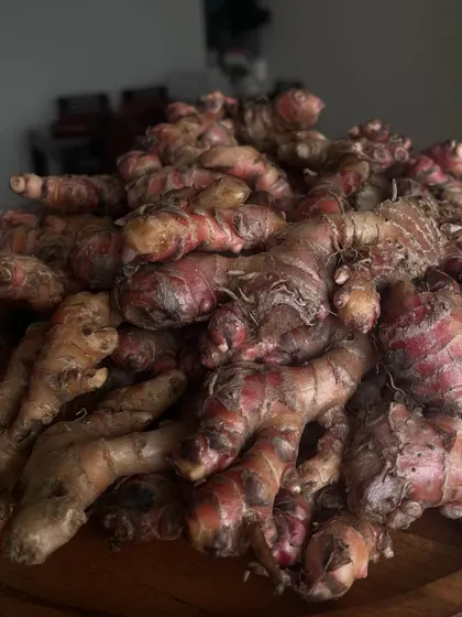 A pile of fresh, local red ginger, one of our chef's favorite ingredients. This ginger is more pungent and flavorful than the common variety, adding a special kick to our dishes.