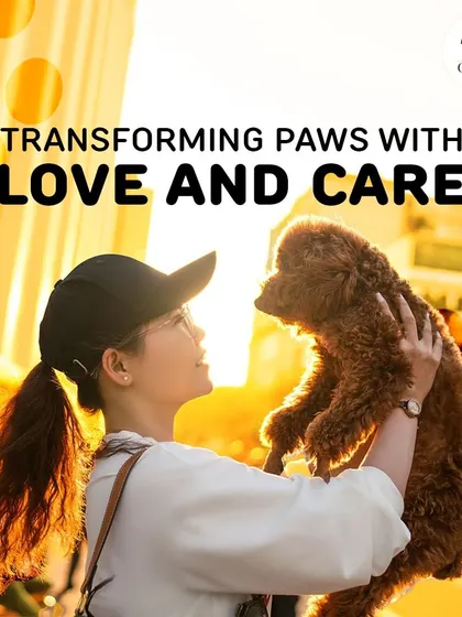 There's nothing like the bond between a pet and their person. We're here to help you transform their lives with love, care, and a little help from our grooming products.