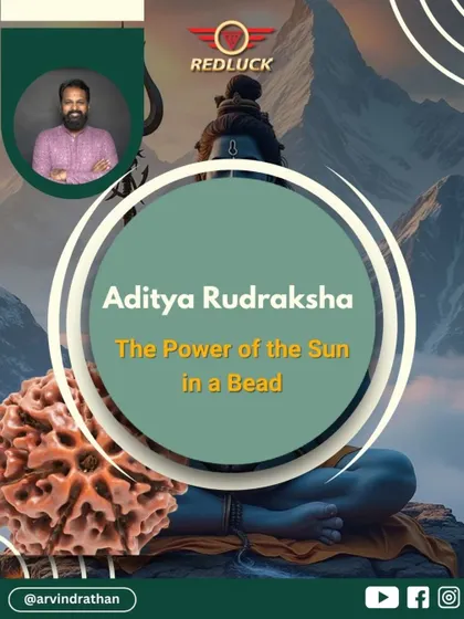 The Aditya Rudraksha, or 12-Mukhi bead, channels the power of the Sun. It is a tool for leaders, creators, and anyone seeking to burn away obstacles and light up their path to prosperity with courage and authority.