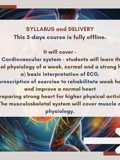 The syllabus for this offline course covers critical topics like the clinical physiology of the heart and musculoskeletal system. It provides practical knowledge on prescribing exercise to rehabilitate and strengthen the body.