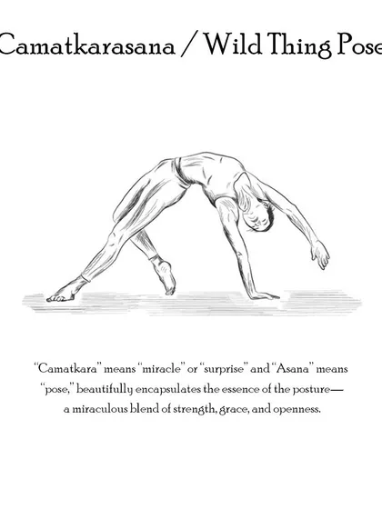 Camatkarasana (Wild Thing Pose) is a beautiful backbend that brings flexibility to the spine, builds strength in the upper back, and boosts energy.