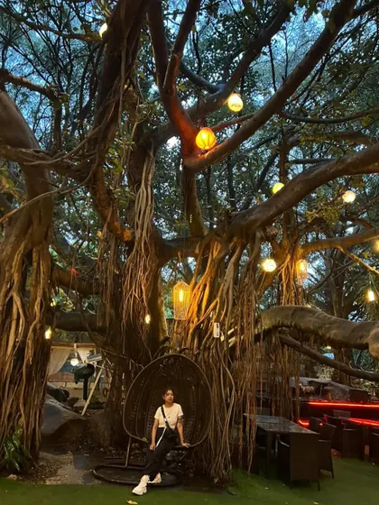 The full view of the seating area under the banyan tree at Pebble. It's a space that encourages both dancing and chilling, creating a perfect community vibe.