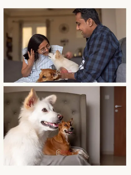 A collage of Coco and Snowy's at-home session, showing their playful interactions and the love they share with their parents.