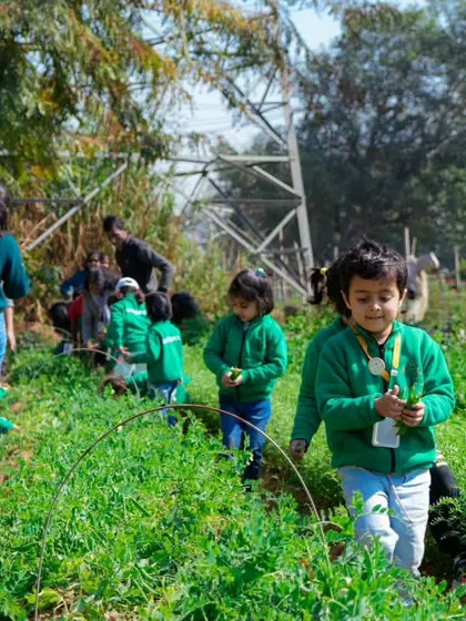 Young students walk through the rows of green vegetables, exploring the farm. This is a great way for them to get some exercise and fresh air while learning.