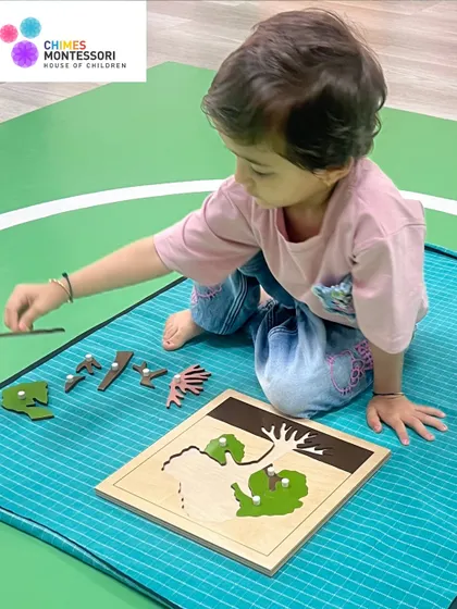 This child is working with a botany puzzle, learning the different parts of a tree. This hands-on approach makes biology tangible and memorable.