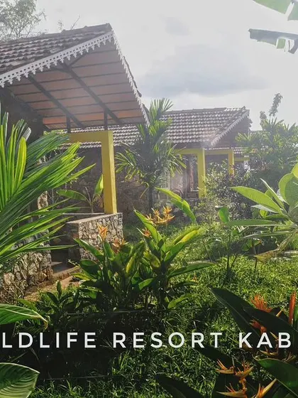 The lush, green surroundings of the Wildlife Resort in Kabini, showcasing the beautiful cottages nestled among tropical plants.