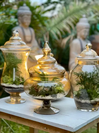 A set of customized sealed terrariums created for a newly designed home. These beautiful amber glass jars are styled with plants suited for a humid environment and require no maintenance, making them perfect decorative pieces.