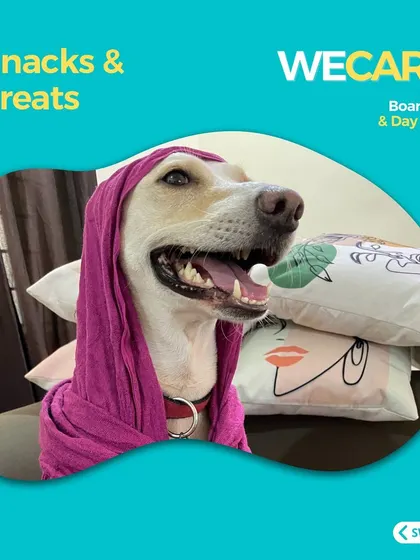 Snacks and treats are an important part of the fun. We love spoiling our guests with tasty bites throughout the day.