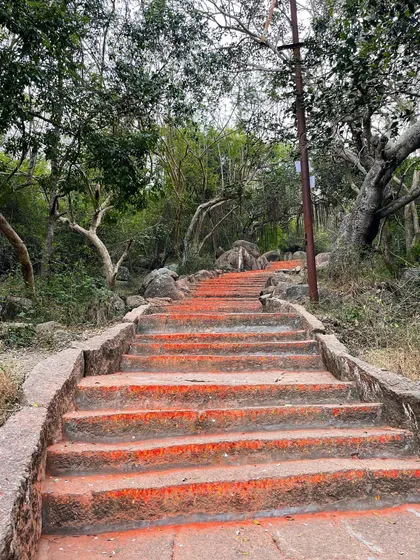 The steps leading up to a temple in India. The path of yoga is a journey, step by step, toward greater understanding.