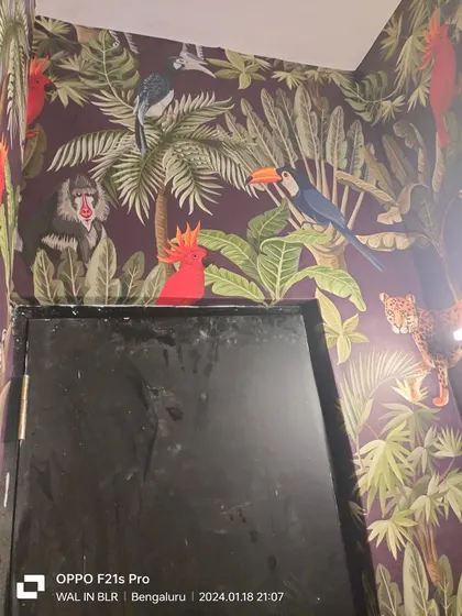 Another view of the dark jungle wallpaper.