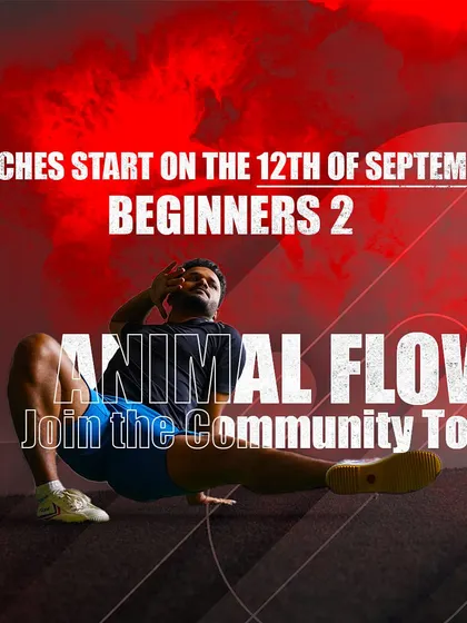 Our Animal Flow beginners program is designed in two parts to build a strong foundation. If you've completed B1, it's time for B2 to master all of the Level 1 moves.