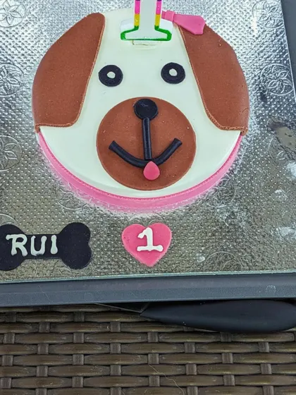 A close-up of Rui's adorable first birthday cake. We work with excellent dog bakeries to get the perfect custom cake for your celebration.