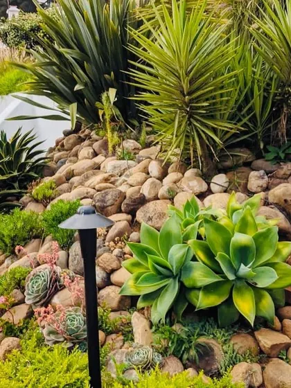 Another view of the succulent rockery, showing how different plant forms and stone textures can be combined for a dramatic effect.