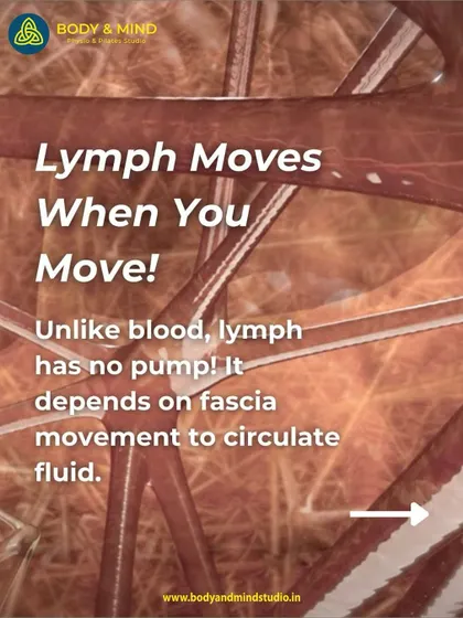 Your lymphatic system has no pump; it relies on you to move. This infographic explains that lymph moves when your fascia moves, highlighting the importance of physical activity for detoxification and immune health.