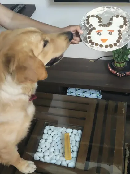 Stout's family even made him a special cake to celebrate his graduation. It's these moments of joy and celebration that make my job so fulfilling.