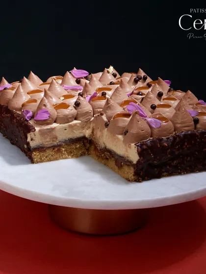 A breakdown of the "Go Nuts for Hazelnuts." It features a soft hazelnut sponge, a layer for crunch, praline caramel, creamy mascarpone mousse, and a dark chocolate ganache.