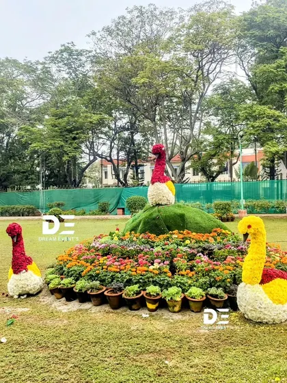 This charming display features several peacocks sculpted from colorful flowers, nestled in a bed of marigolds. It's a smaller, more intricate example of the animal sculptures I create for public exhibitions and private gardens.