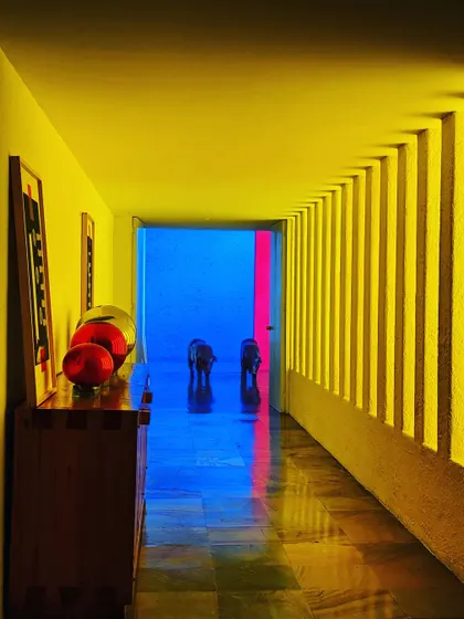 We travel to be lost in thought and to fall in love with architecture all over again. This series of photos and videos is from our trip to Mexico, exploring the masterful work of Luis Barragán. His use of color, light, and serene spaces is a profound source of inspiration for us.
