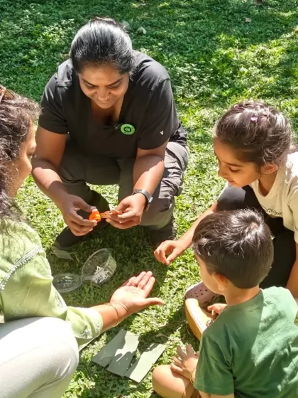 During our story sessions, we often pause for a hands-on activity. Here, I'm showing our young explorers a natural treasure that connects to the tale we're telling, making the story a tangible, multi-sensory experience.