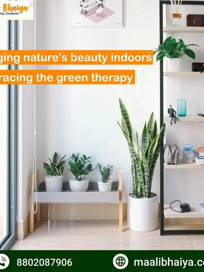 A quiet corner of a home brought to life with our indoor plant decoration service. We selected low maintenance plants like the snake plant to fit the modern decor and busy lifestyle of the residents.
