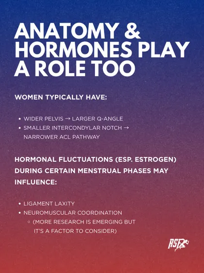 Female anatomy and hormones play a role in ACL injury risk. Factors like a wider Q-angle and hormonal fluctuations influencing ligament laxity are important considerations in my program design.