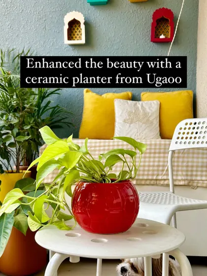 A bright red ceramic planter adds a pop of color to my balcony and makes the green of the plant stand out.