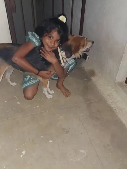 My daughter giving Sparrow a big hug. We welcome indie dogs and they are wonderful with children.