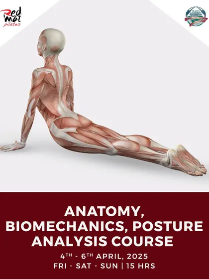 This poster for the April Anatomy, Biomechanics, and Posture Analysis course emphasizes the foundational knowledge that will elevate your skills and marketability as a fitness professional.