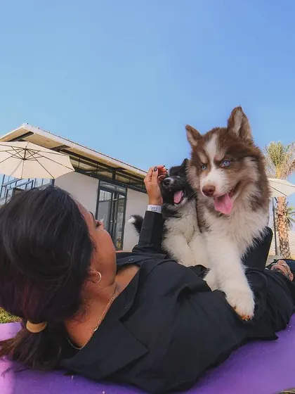 A happy husky puppy getting some cuddles during a break in our outdoor yoga class.