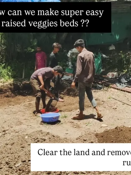 The process of creating raised beds begins with clearing the land and removing any rubble to prepare a clean slate for the garden.