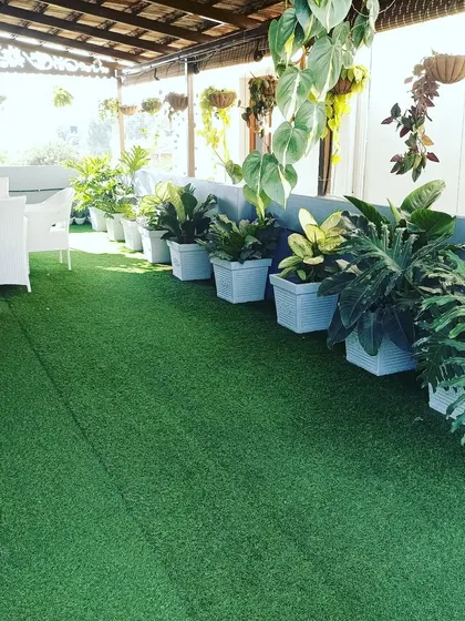 This is another rooftop project where I installed artificial grass on a covered terrace, creating a comfortable and green lounge area surrounded by potted plants.