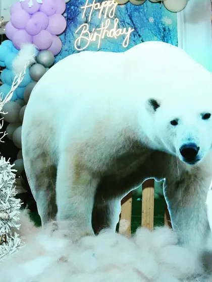 Our realistic polar bear prop is a huge hit at winter-themed parties. It serves as a fantastic centerpiece and a great photo opportunity for guests.