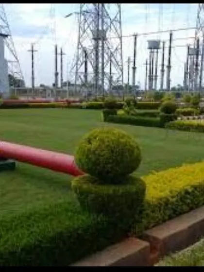 A formal landscape designed for a commercial power station facility. This project includes manicured lawns, precisely shaped topiary shrubs, and clean borders, demonstrating my capability to deliver professional and low-maintenance green spaces for industrial and corporate clients.