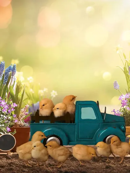 Another version of the chick-filled truck.