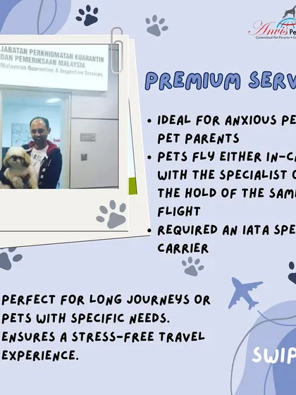 Our Premium Service is perfect for anxious pets, long journeys, or pet parents who want extra peace of mind. A relocation specialist flies with your pet, either in-cabin or in the hold of the same flight, ensuring a stress-free experience.