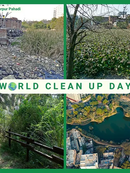 Sikanderpur Pahadi's before and after. A pond suffocated by waste and invasive hyacinths is now a pristine, reflective lake, showcasing one of our most dramatic restoration successes.