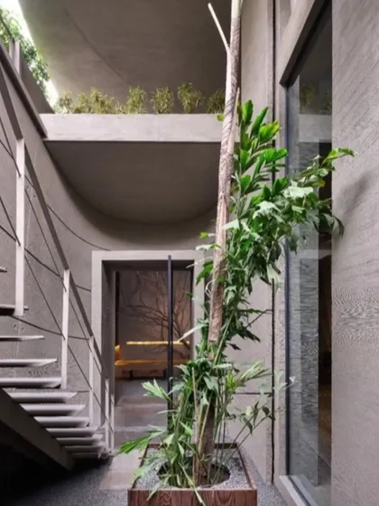 A glimpse into one of the studio's transitional spaces, where a central planter with a living tree trunk rises through the building. This feature is a constant reminder of our core inspiration and brings the essence of nature into our daily work environment.