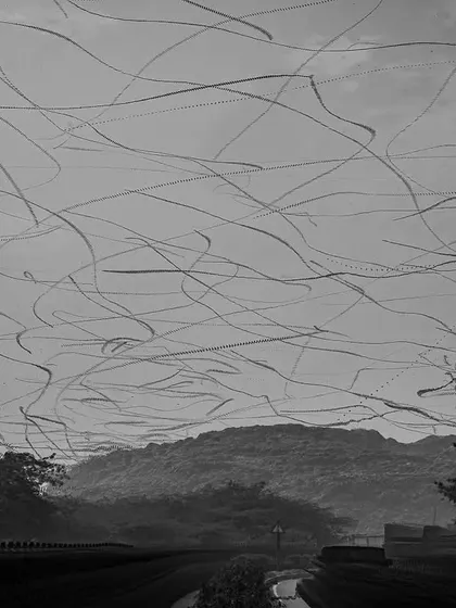 An ornithograph showing the chaotic flying pattern of Black Kites around the Bandhwari Landfill, a testament to their adaptation.