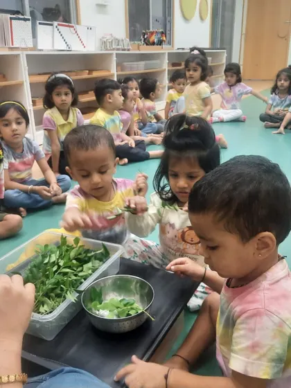 Each activity, from making Bhel Puri and toast to plucking methi leaves and exploring what floats, is a lesson in itself. These practical life and sensorial activities are central to the Montessori method, helping children develop fine motor skills, concentration, and a deep understanding of the world through their own actions.