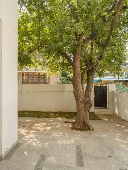 An existing mature tree was retained in the front yard, and the new layout was designed around it, honoring the natural heritage of the site.