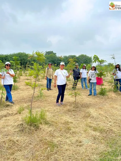 A group of dedicated volunteers, mostly women, taking part in a plantation event. Their commitment is helping us grow a green legacy, and they are true eco-heroes building a more sustainable future.