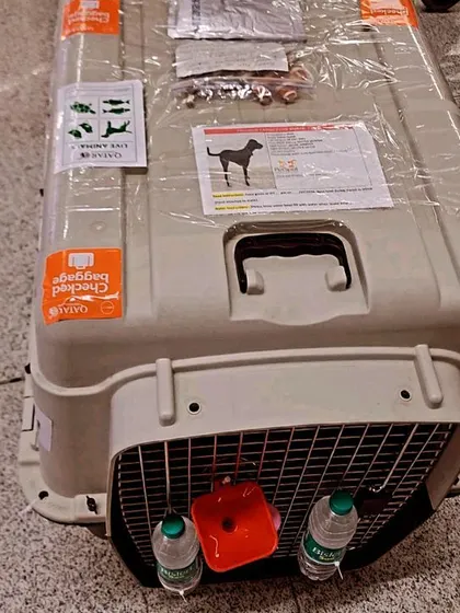 This is the travel crate for Xena's journey to America. It's fully equipped and labeled according to international airline standards for manifest cargo.