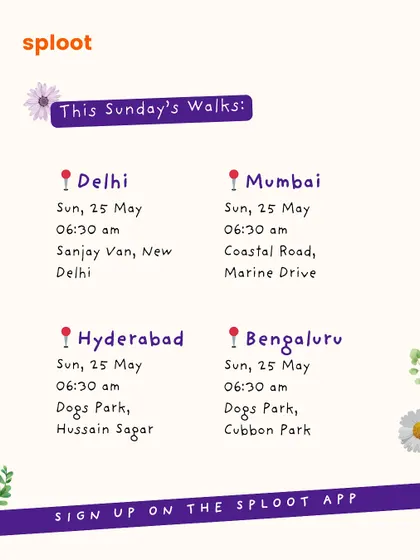 Here are the details for our upcoming Sunday walks. Find your city and join us for a morning of fun, friends, and wagging tails.