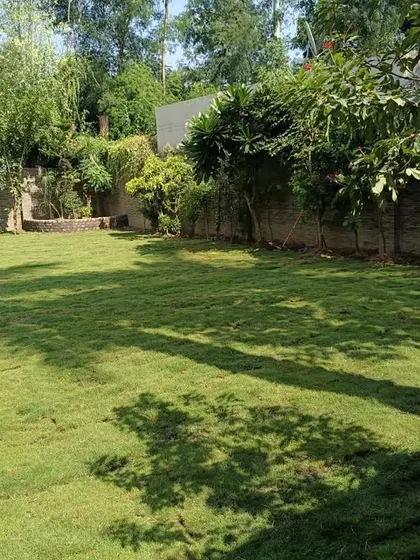 Another angle of the residential lawn, showing how it creates a peaceful and private green sanctuary.