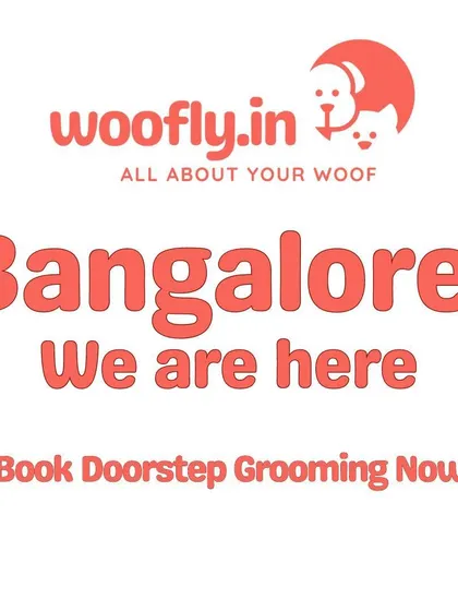 Great news for pet parents in Bangalore. I am now offering my convenient doorstep grooming services in your city. Skip the traffic and let me come to you.