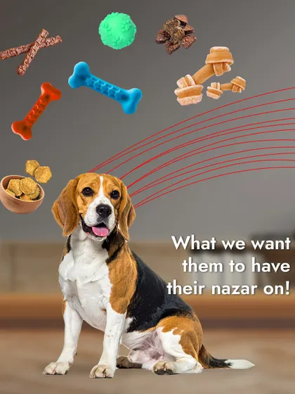 We buy them expensive toys, but they choose our socks. The mysterious logic of a pet's mind is something we celebrate.