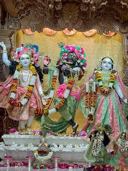 The beautifully adorned deities of Radha and Krishna at the Govardhan Ecovillage, a spiritual oasis near Mumbai.