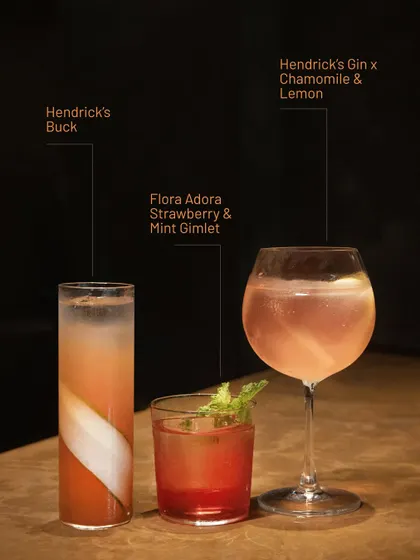 A trio of Hendrick's Gin cocktails, showcasing fresh infusions like strawberry, mint, chamomile, and lemon.