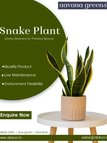 Lifelike greenery for timeless spaces. Our artificial Snake Plant is a popular choice for its modern, sculptural look. It's a quality product that offers total environment flexibility.